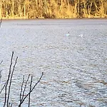 Wunderschoenes Am Waldrand By Interhome Ferienhaus Bad Arolsen