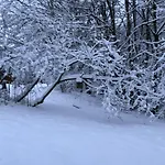 Wunderschoenes Am Waldrand By Interhome Ferienhaus Bad Arolsen