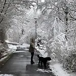 Wunderschoenes Am Waldrand By Interhome *