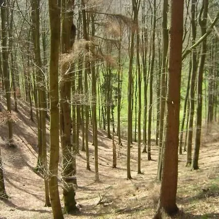 Prázdninový dům Wunderschoenes Am Waldrand By Interhome Bad Arolsen