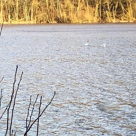 Wunderschoenes Am Waldrand By Interhome Σπίτι διακοπών Bad Arolsen