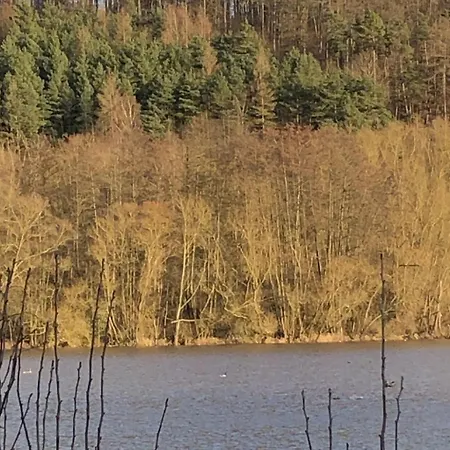 Wunderschoenes Am Waldrand By Interhome