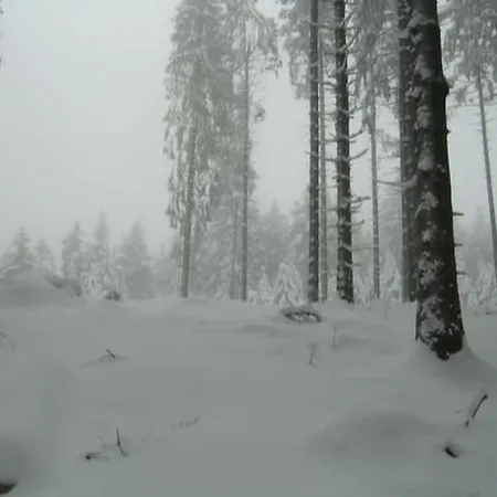 Wunderschoenes Am Waldrand By Interhome Prázdninový dům Bad Arolsen