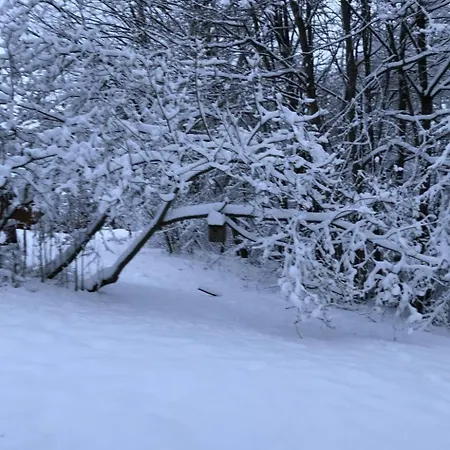 Wunderschoenes Am Waldrand By Interhome Σπίτι διακοπών Bad Arolsen
