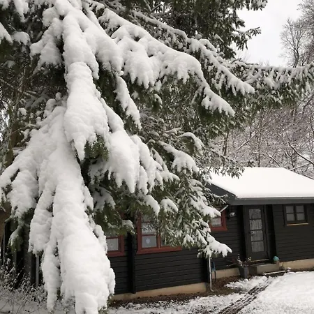 Wunderschoenes Am Waldrand By Interhome Prázdninový dům Bad Arolsen