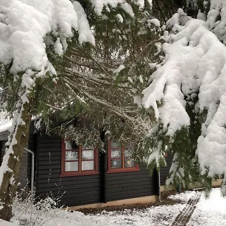 Wunderschoenes Am Waldrand By Interhome Bad Arolsen