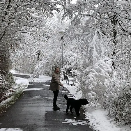 Wunderschoenes Am Waldrand By Interhome *