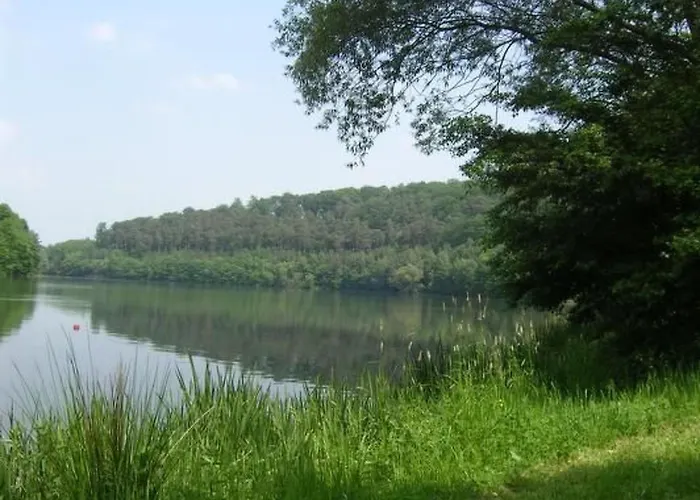 Сasa de vacaciones Wunderschoenes Am Waldrand By Interhome Bad Arolsen