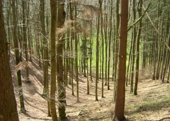 Nyaraló Wunderschoenes Am Waldrand By Interhome Bad Arolsen