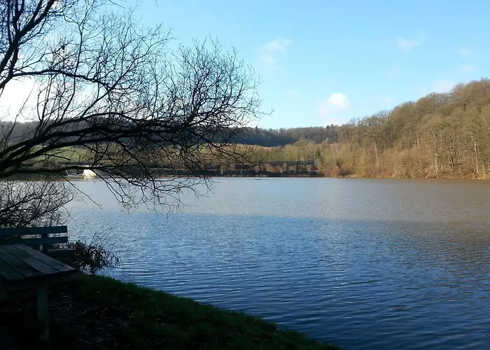 Wunderschoenes Am Waldrand By Interhome Bad Arolsen