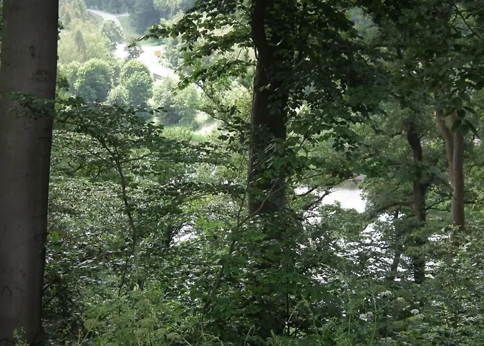 Nyaraló Wunderschoenes Am Waldrand By Interhome Bad Arolsen