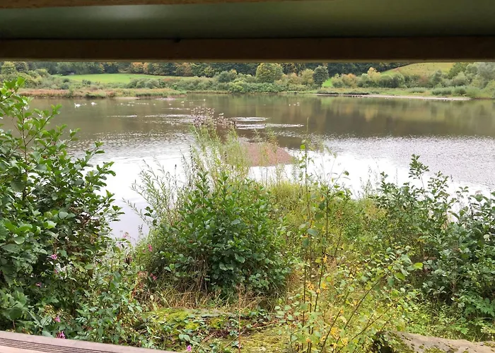 Wunderschoenes Am Waldrand By Interhome * Bad Arolsen