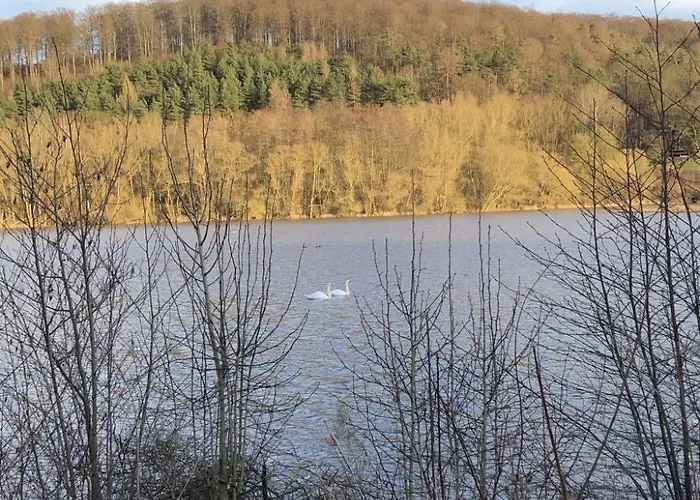 Wunderschoenes Am Waldrand By Interhome Сasa de vacaciones *