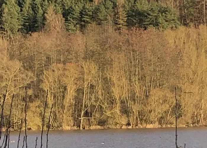 Wunderschoenes Am Waldrand By Interhome