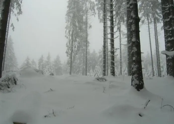 Wunderschoenes Am Waldrand By Interhome Nyaraló Bad Arolsen