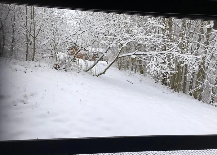 Wunderschoenes Am Waldrand By Interhome *