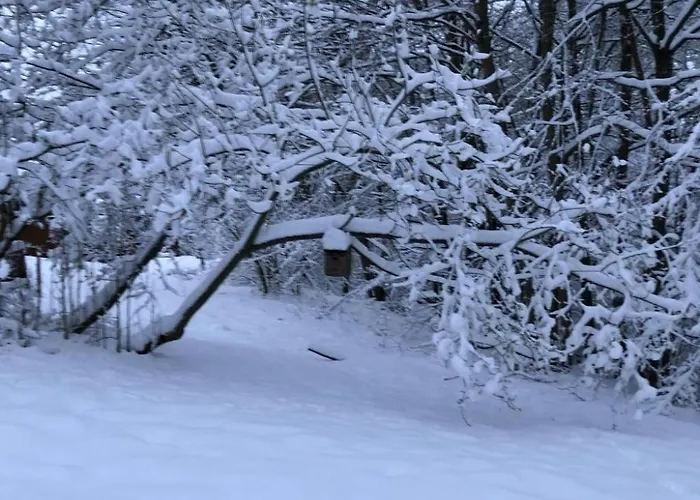 Wunderschoenes Am Waldrand By Interhome Сasa de vacaciones Bad Arolsen