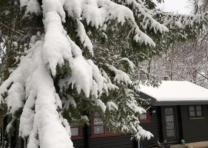 Wunderschoenes Am Waldrand By Interhome Сasa de vacaciones Bad Arolsen