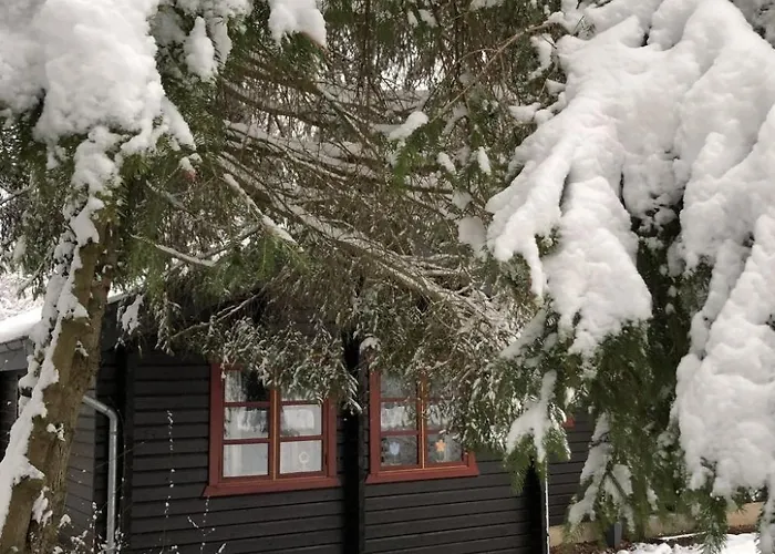 Wunderschoenes Am Waldrand By Interhome Bad Arolsen