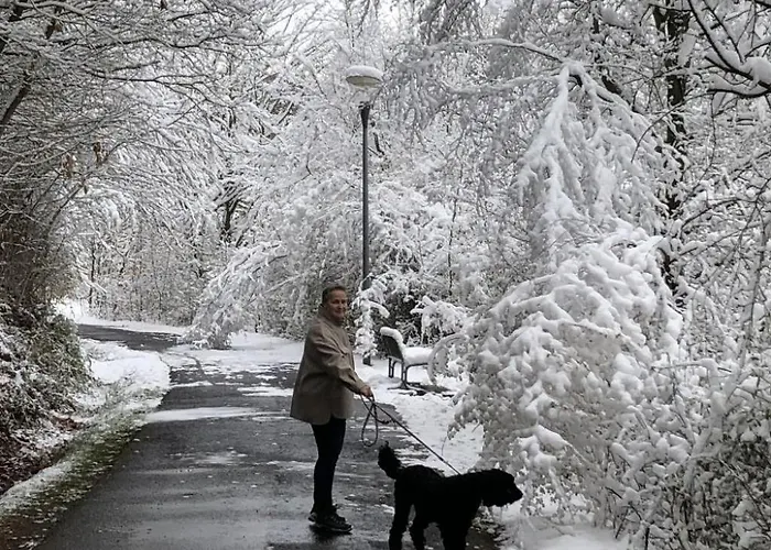 Wunderschoenes Am Waldrand By Interhome *